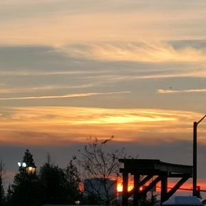 Meet your Posher, Ellie